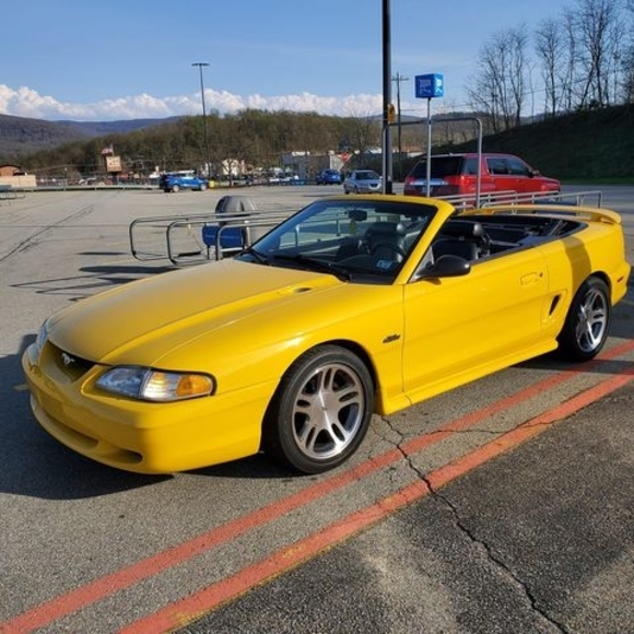 Meet your Posher, Lisa - Picture 1 of 1